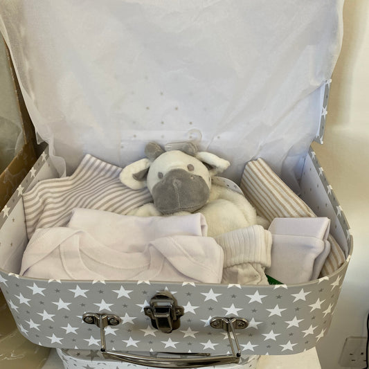Baby gift box (large)