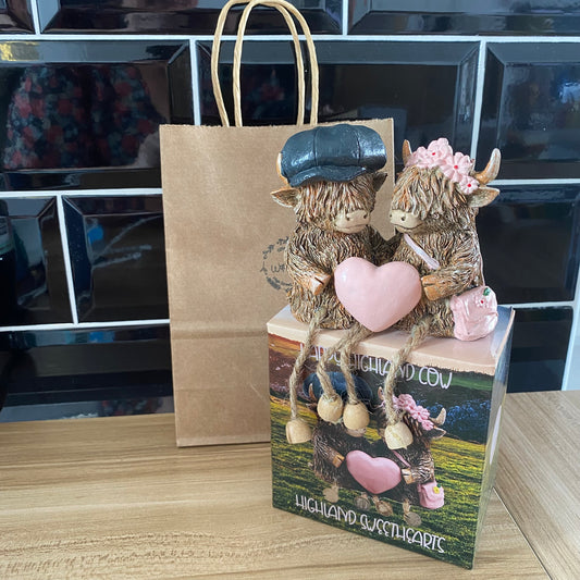 Highland cow couple