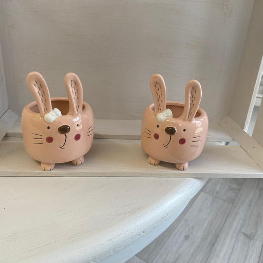 Rabbit pot