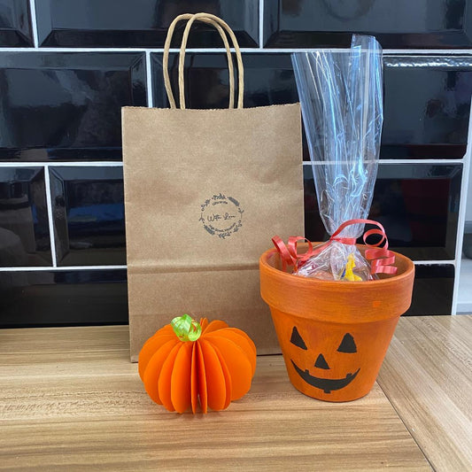 Hand painted terracotta Halloween pots