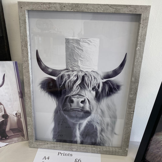 Highland cow A3 framed print