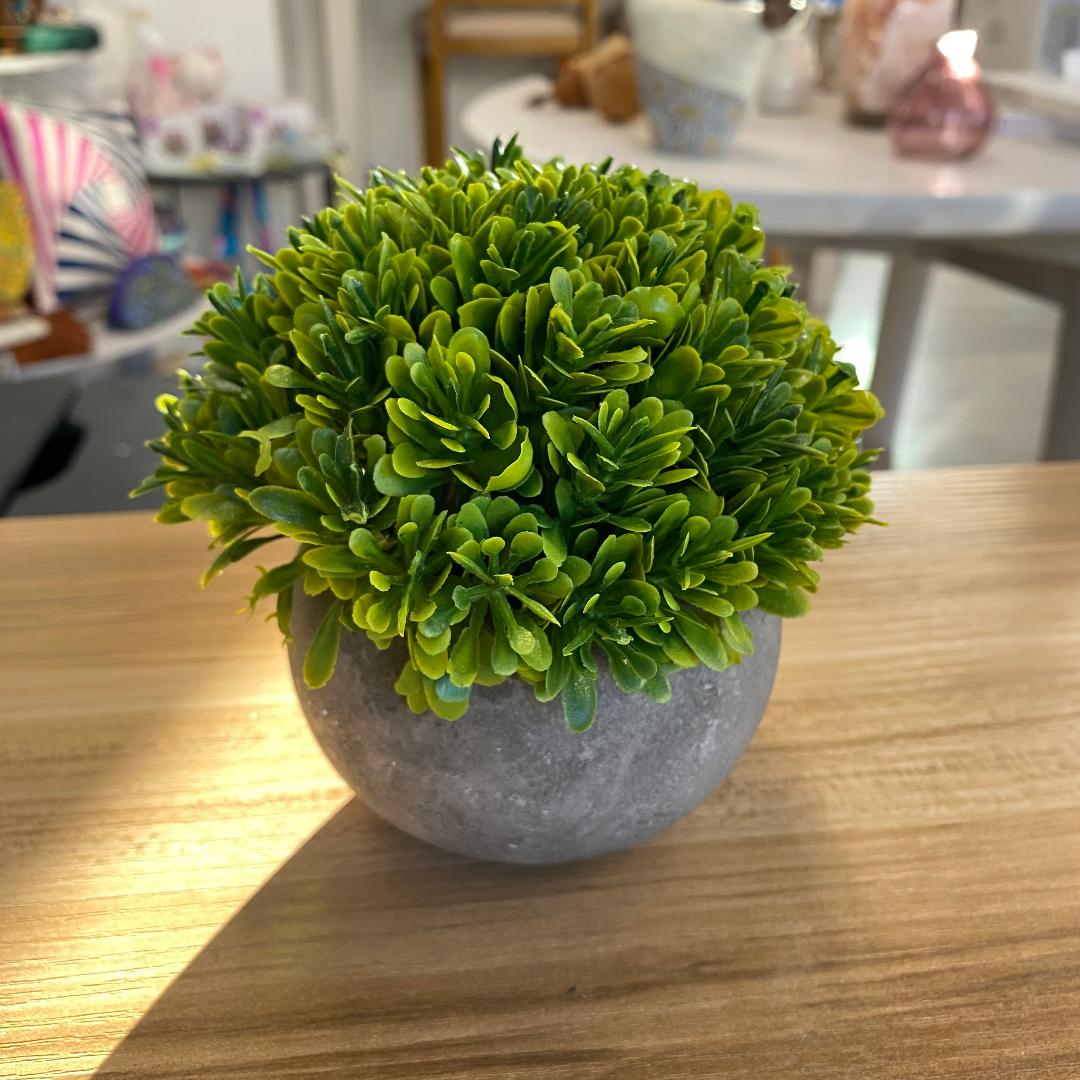 Concrete pots with artificial plants