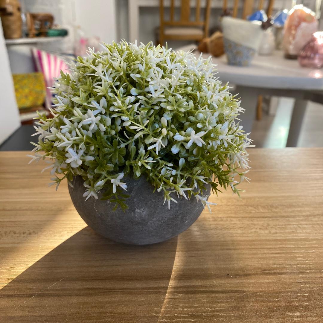 Concrete pots with artificial plants