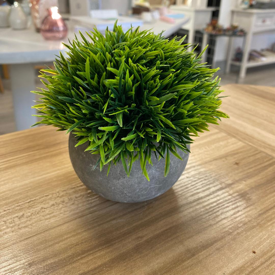 Concrete pots with artificial plants